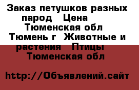 Заказ петушков разных парод › Цена ­ 20 - Тюменская обл., Тюмень г. Животные и растения » Птицы   . Тюменская обл.